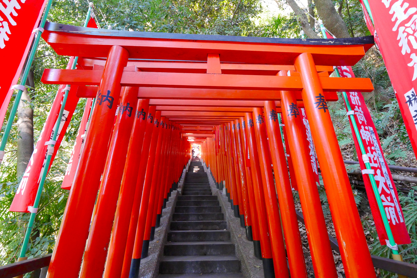 Senbon Torii: A line of red gates